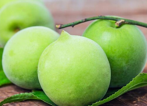 随便果是什么果子