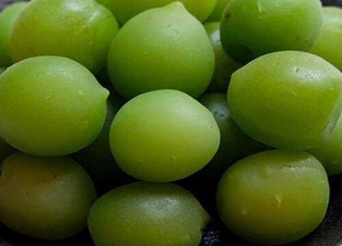 随便果是什么果子