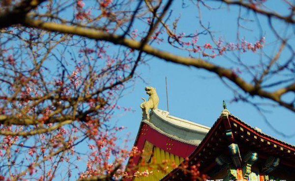 哈尔滨工程大学考研分析