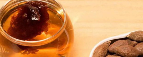 吃胖大海副作用是什么