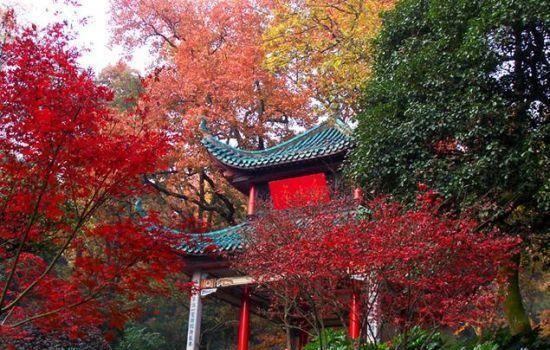 岳麓山最高多少米