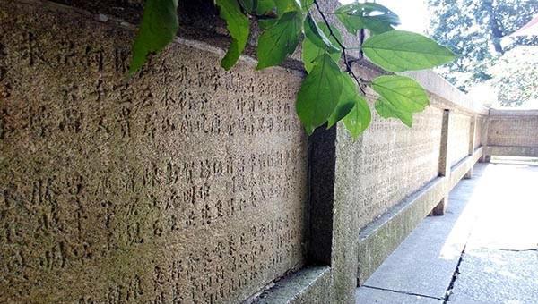 岳麓山最高多少米