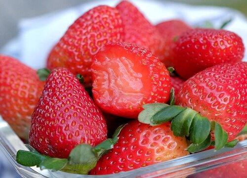 新鲜草莓怎样长时间保存