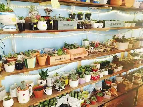 2023年适合女人小成本开店