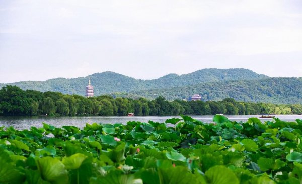 雷峰塔在哪个城市