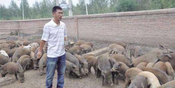 小型养殖什么最赚钱