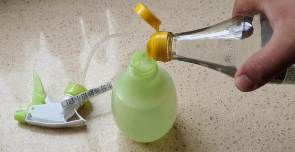 如何消灭蚂蚁最有效的方法