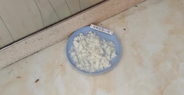 如何消灭蚂蚁最有效的方法