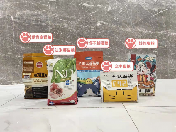 智商高的猫咪排行榜