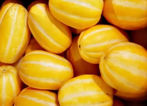 缅甸盛产什么水果有名