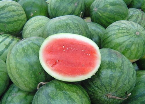 缅甸盛产什么水果有名