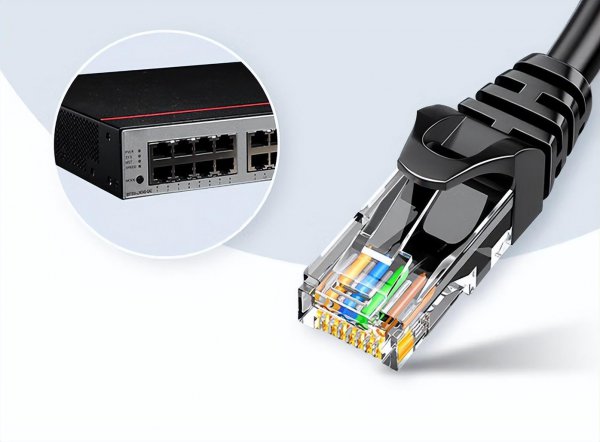 区域网络是什么意思