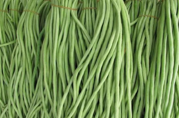 长豆角开花期喷什么药不掉花