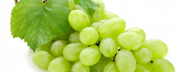 每天吃提子有什么好处