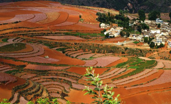 我国四大高原是哪几个