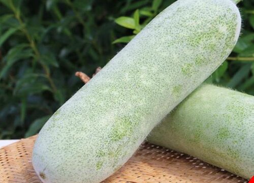 八月时令蔬菜有哪些