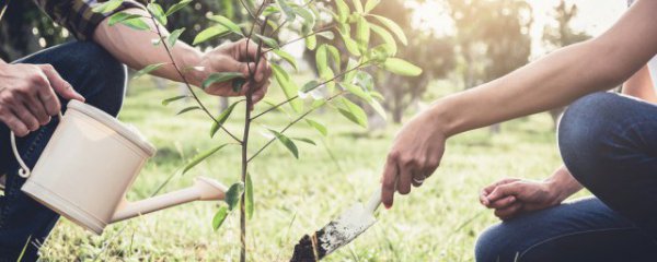 南方干燥适合什么季节种植