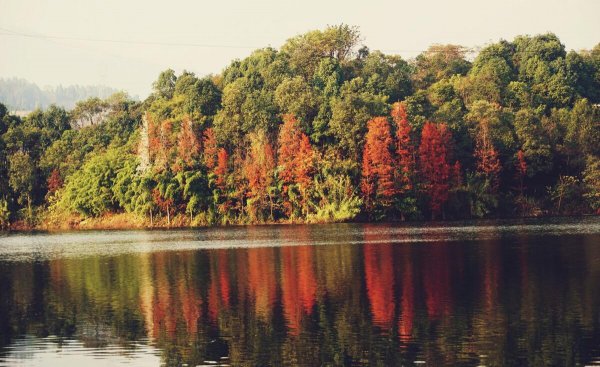 四川达州属于哪个市