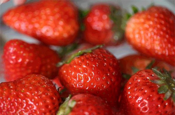 丹东草莓几月份最好吃