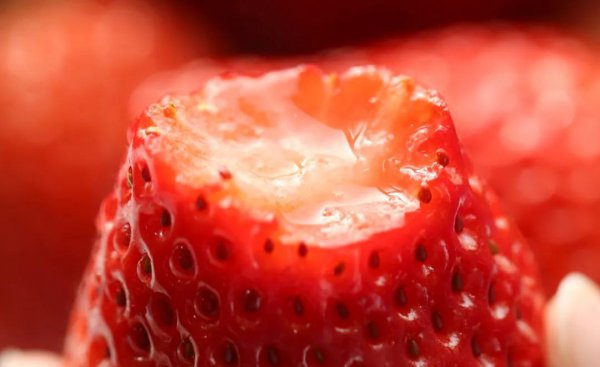 丹东草莓几月份最好吃