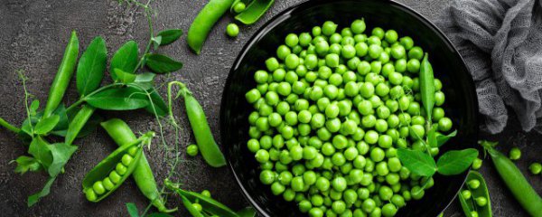 羊肉和豌豆能一起吃吗