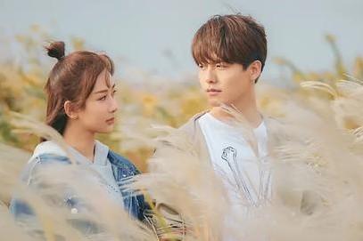 很甜很撩的网剧