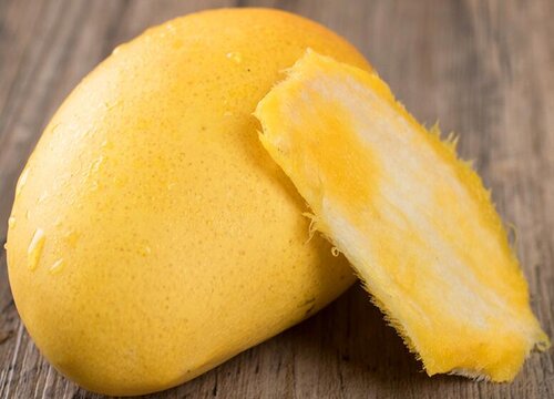 芒果的种植方法