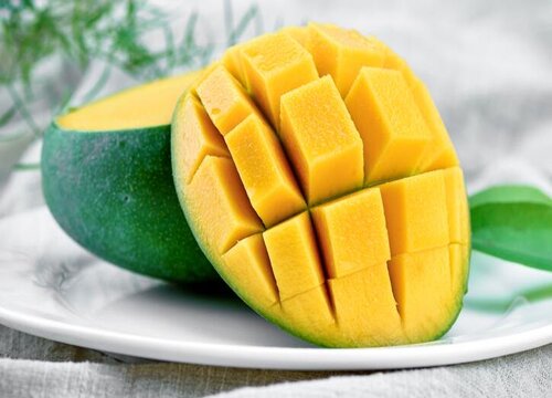 芒果的种植方法