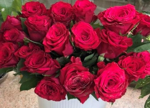 34朵玫瑰花的花语是什么意思 代表的含义