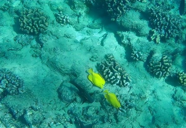 私人岛屿都有哪些特点