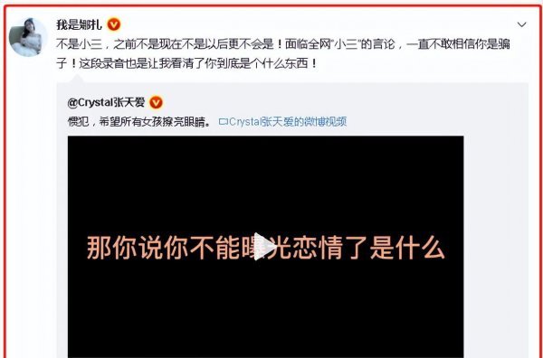 女星张天爱简介及个人资料