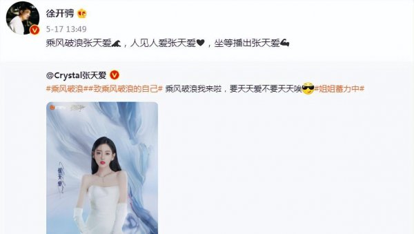 女星张天爱简介及个人资料