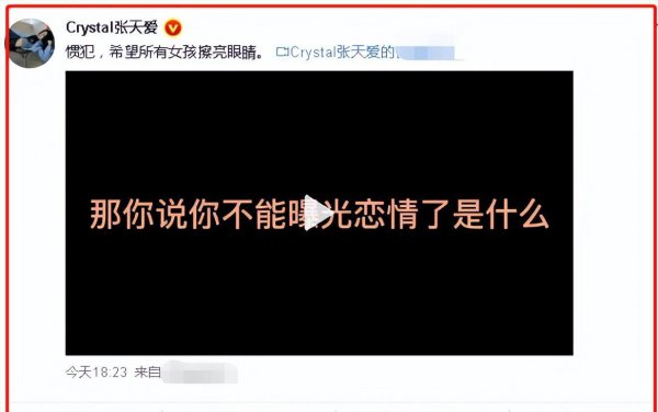 女星张天爱简介及个人资料