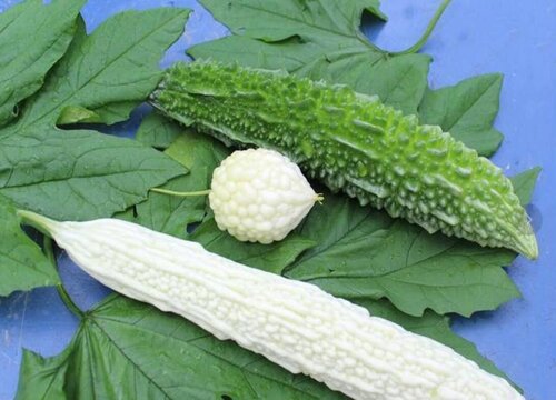 苦瓜怎么去苦味儿