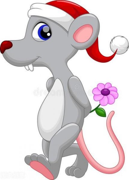 属鼠的人最讨厌什么