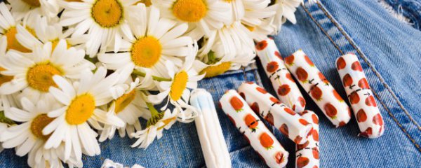 过期杭白菊有什么用途