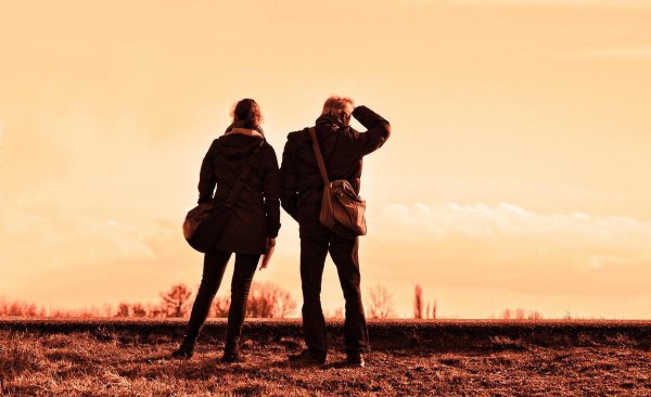 以退为进的爱情法则是什么