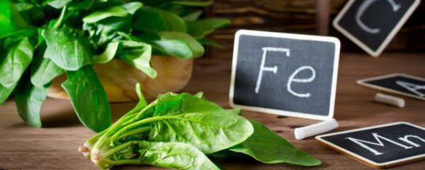 吃菠菜什么季节好