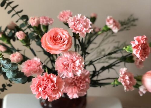 各种花的寓意及花语象征大全