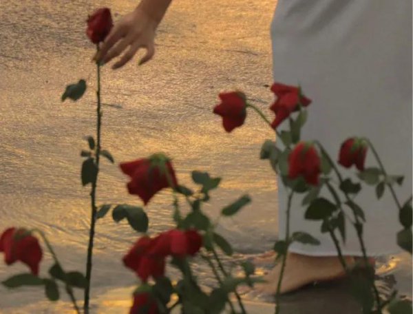 分开一段时间的感情会变好吗