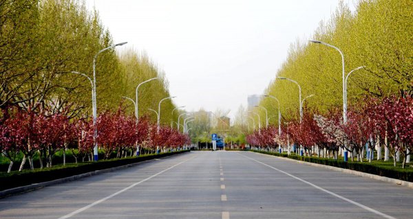 山东省专升本可以报考哪些大学