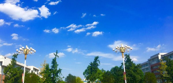 山东省专升本可以报考哪些大学