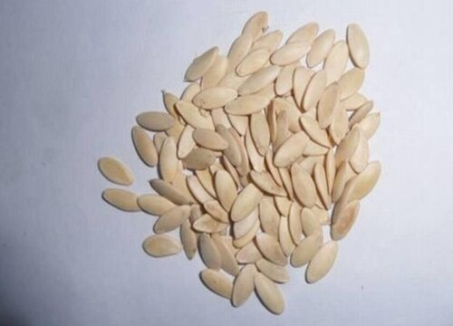 黄瓜种子种植方法步骤