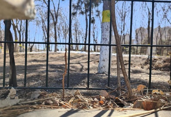 oppofindx5pro参数配置怎么样