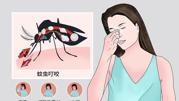 雄蚊子不吸血为什么还叮人