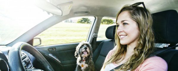 车身怎么判断好坏