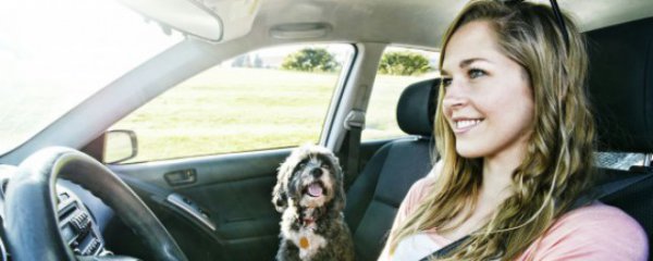 化妆包能不能带上公交车