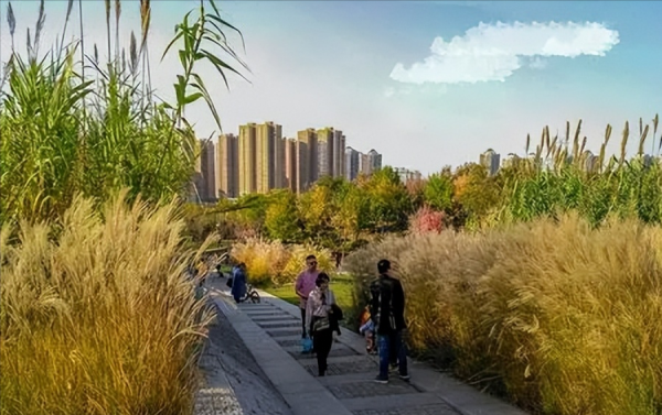 西安十大免费景点