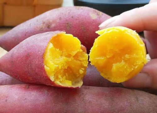 番薯是凉性的还是热性的食物