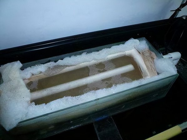 鱼缸过滤棉正确的放置方法